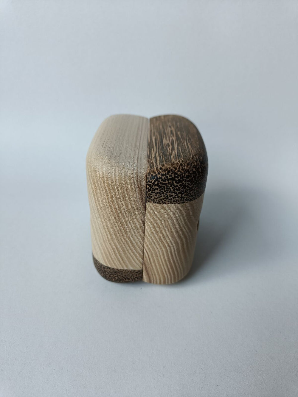 Black Palmira / Esche Zangen (Symmetrisch)