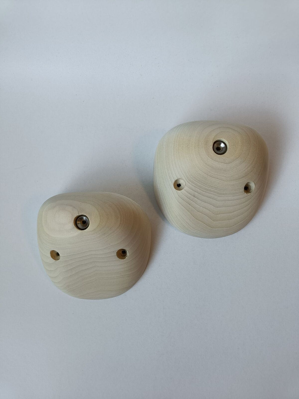 Jugs – Tulipier