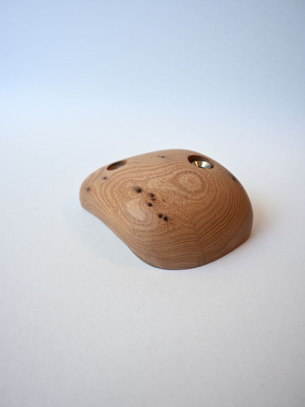 Pinch – Robinia
