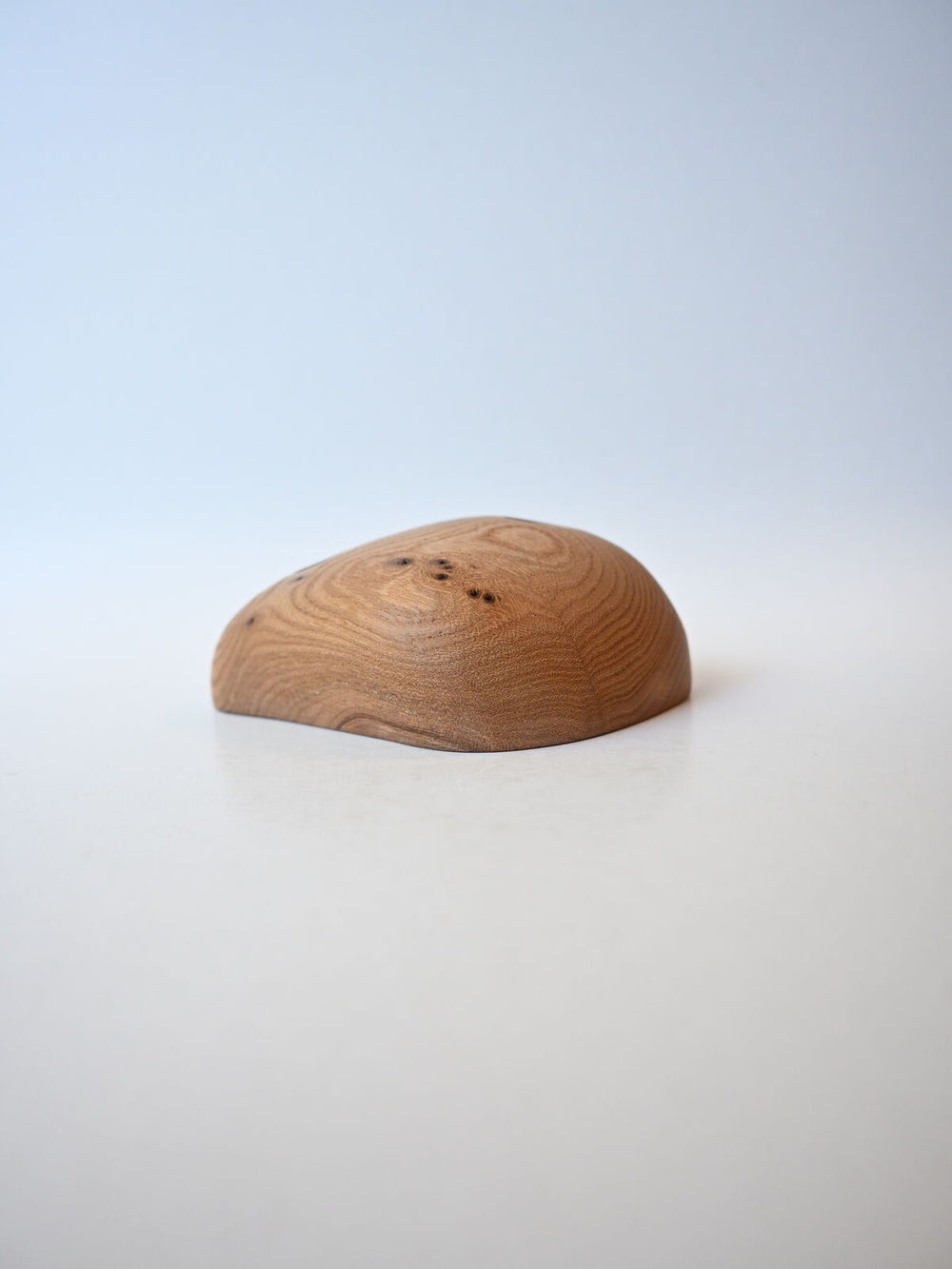 Pinch – Robinia