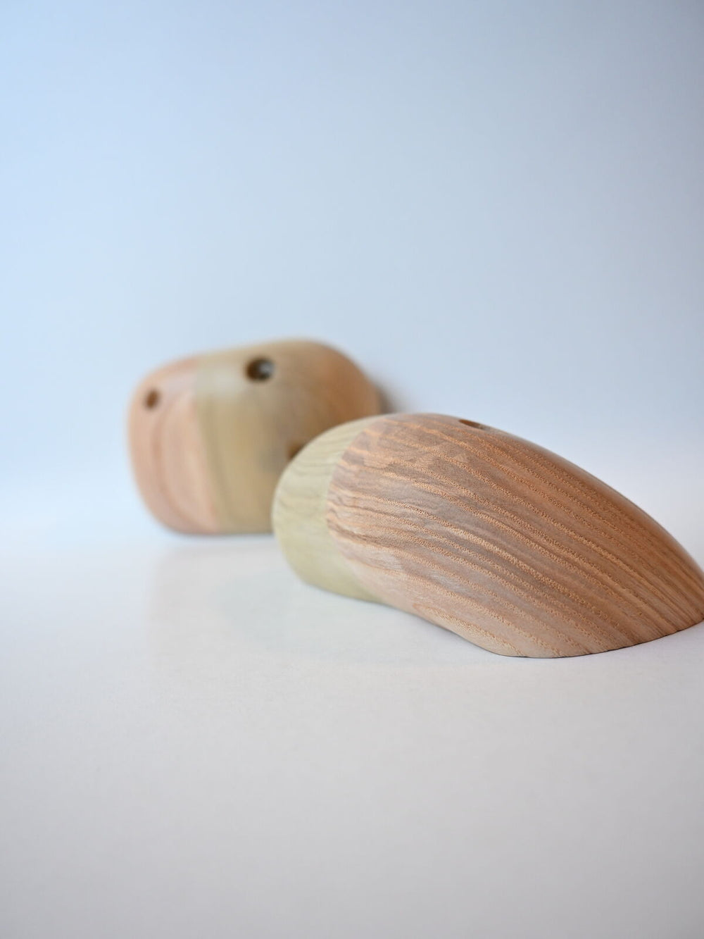 Jugs – Ash / Tulipier