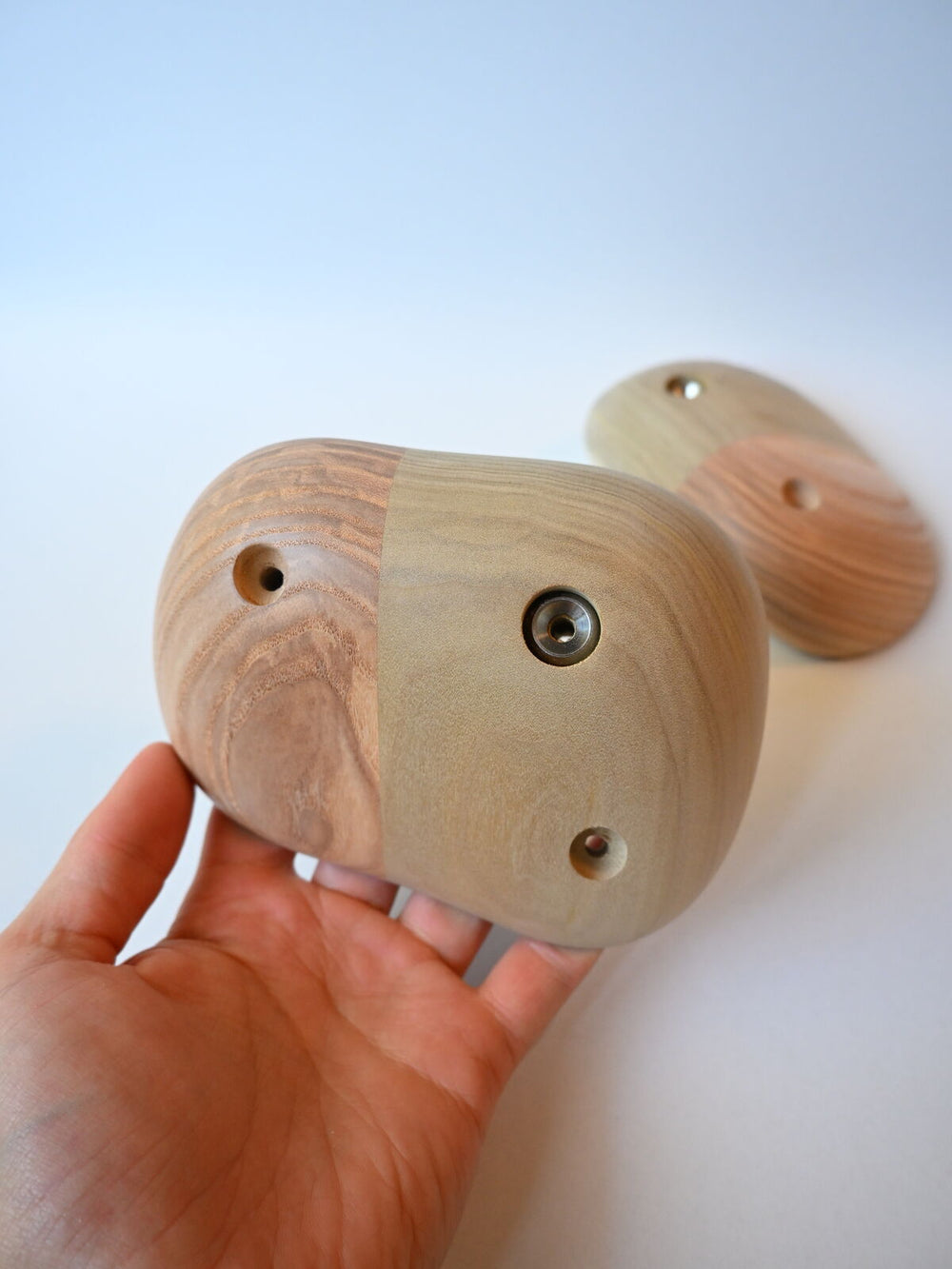 Jugs – Ash / Tulipier