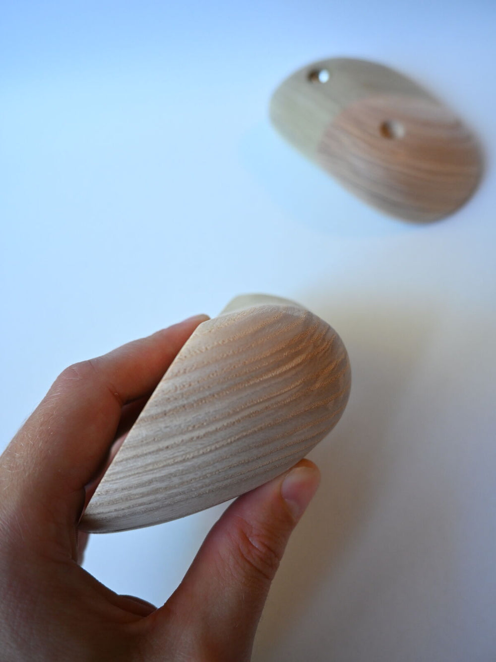 Jugs – Ash / Tulipier