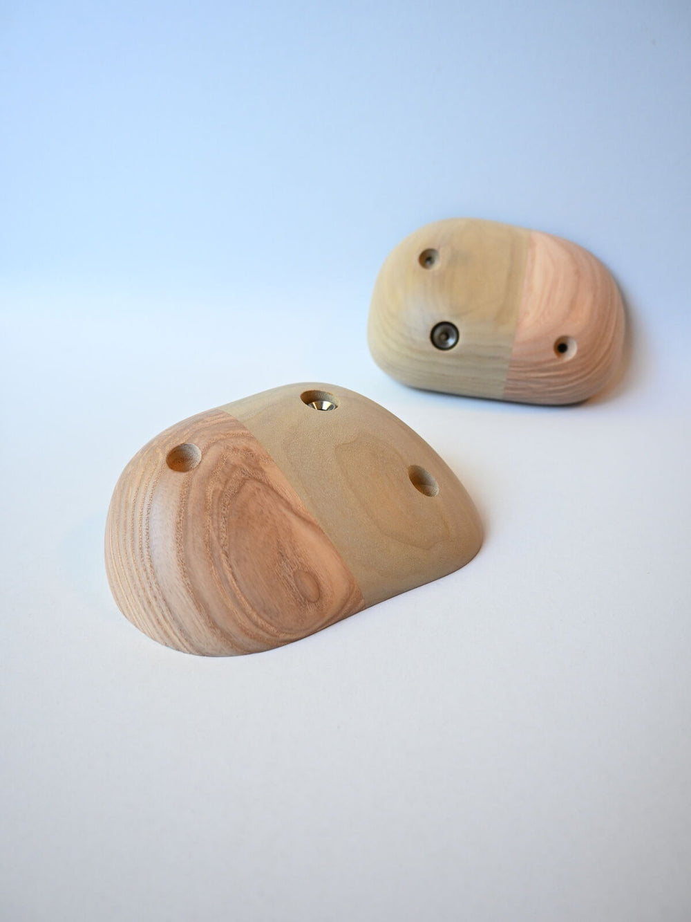 Jugs – Ash / Tulipier