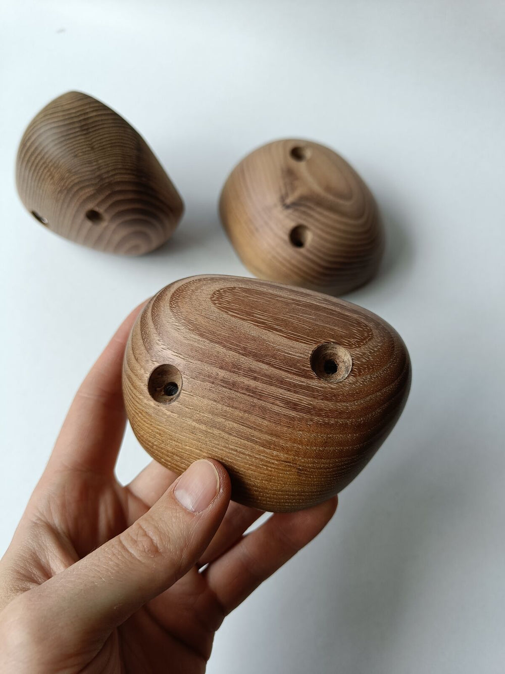 Pinches – Robinia