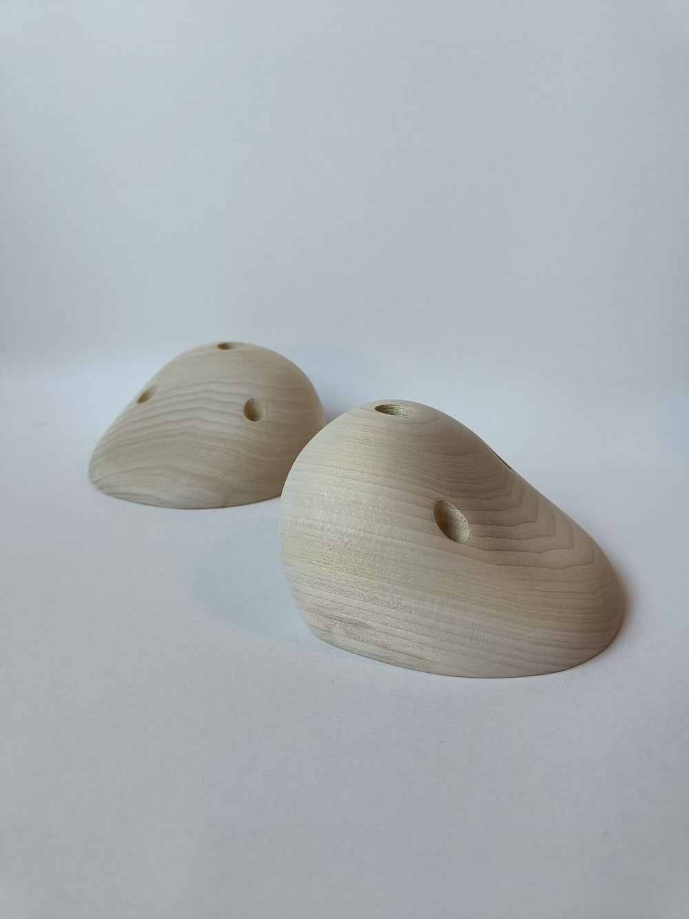 Jugs – Tulipier