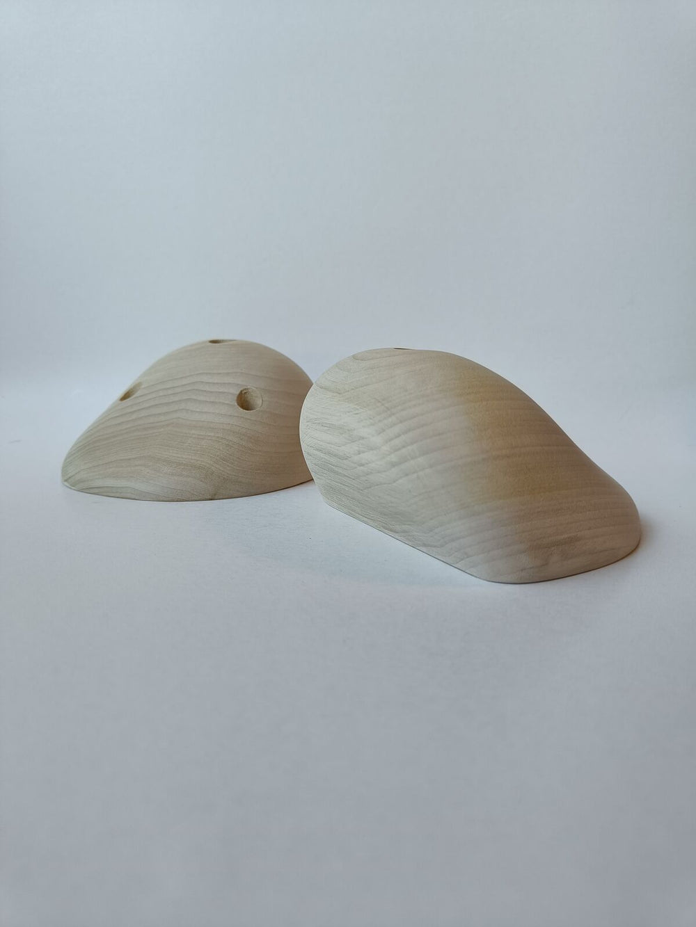 Jugs – Tulipier