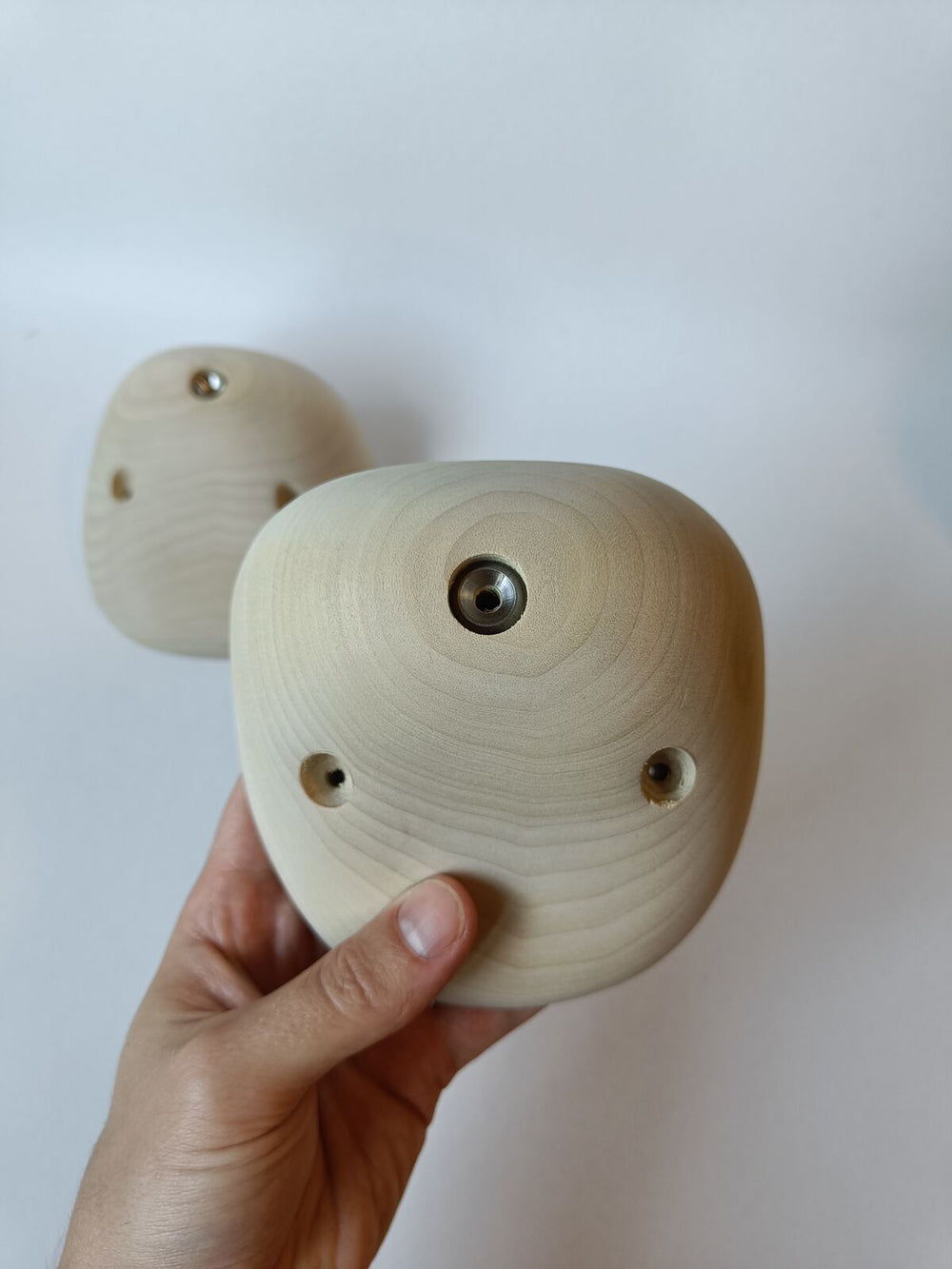 Jugs – Tulipier